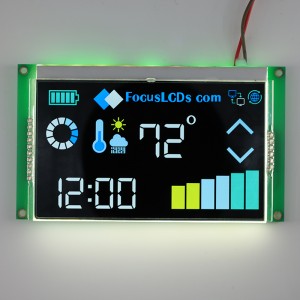 Segment LCD display module of standard model
