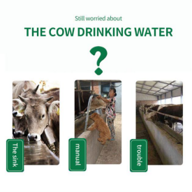 Acqua potabile automatica per i bovini in plastica