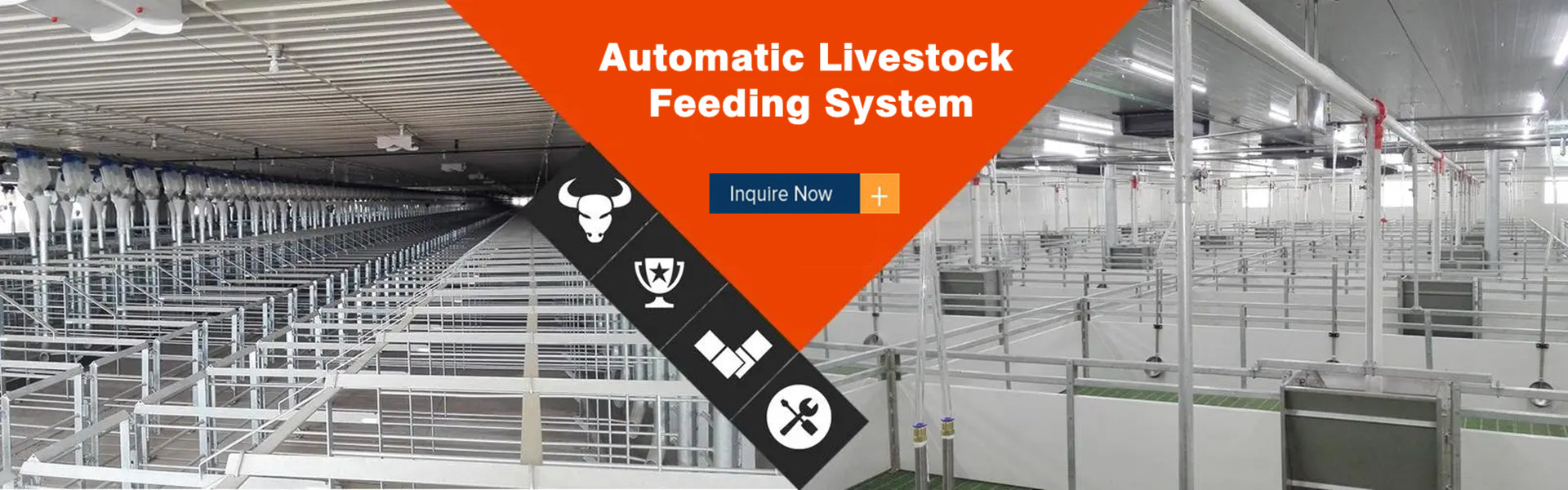 Automatic feeding system