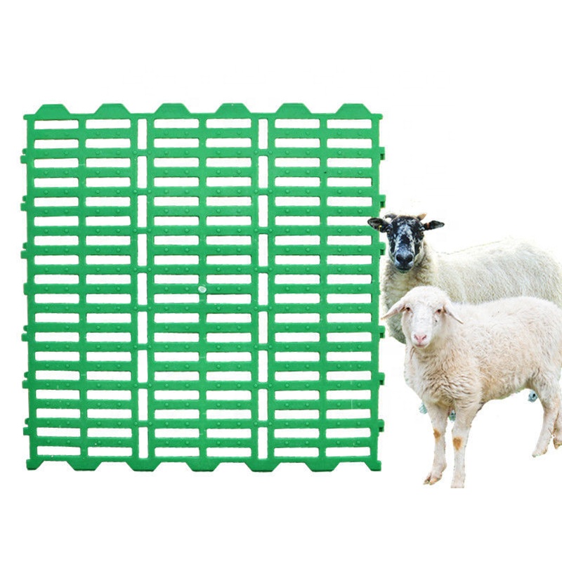 پائیدار پلاسٹک بکری سلیٹ فرش بھیڑ کی کھاد کی صفائی کے فرش بکری بھیڑوں کی فارمنگ کے آلات کے لیے بکری سلیٹڈ فرش