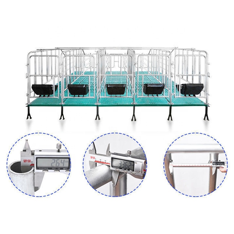 Pig House Farming Equipment Customized Hot Galvanized Sow Farrowing Bed Pig Nursery Weaning Pen With BMC Dung Board Floor