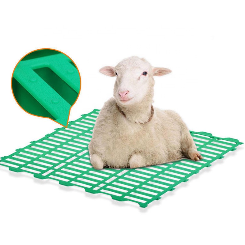 Vânzări fierbinți 600*600 plastic capră podea șipci oaie plastic șipci podea plasă pentru podea fermă de oi