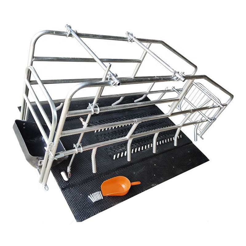 Hot Galvanized Pig Cage Farming Equipment Pig Gestation Stall With Sow Farrowing Crate Limit Positioning Bar
