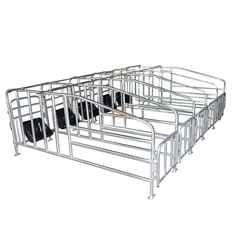 Mainit na Galvanized Pig Cage Kagamitan sa Pagsasaka Pig Gestation Stall na May Sow Farrowing Crate Limit Positioning Bar