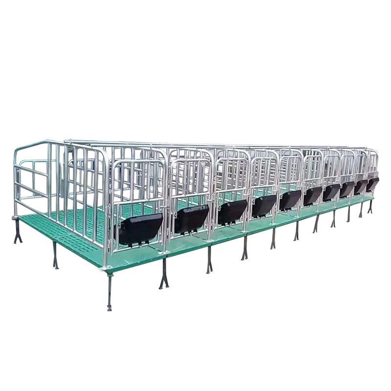 Hot galvanized pig farming farrowing crate sow equipment stall pen pig gestation crates na may composite slatted floor