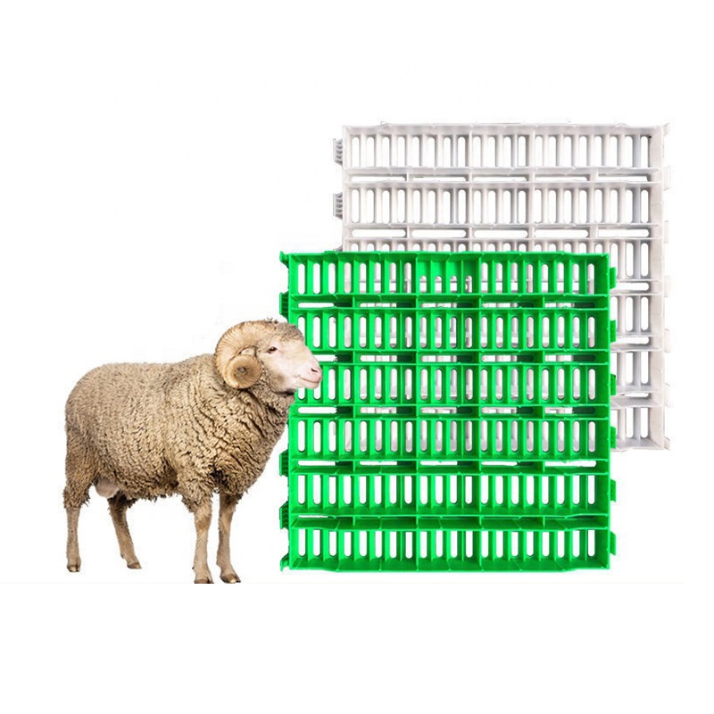 Naujo tipo gyvulininkystės įranga Ožkos avys Didelio poveikio plastikinės lentjuostės, skirtos ožkų ūkio grindims