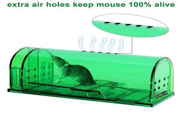 D'Funktioun an Aféierung vun mousetrap