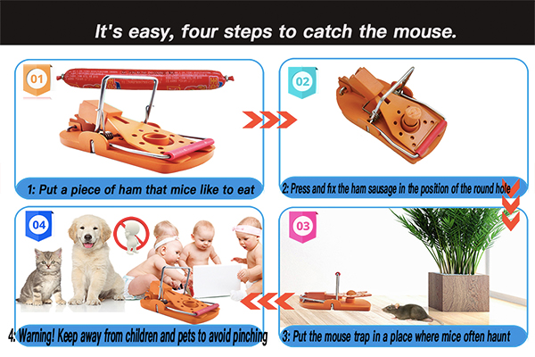 ¿Cómo elegir una buena trampa para ratones?
