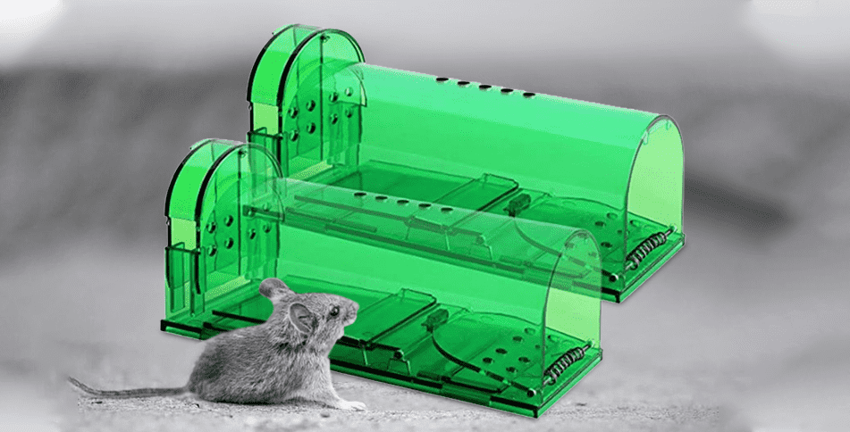 2019 Amazon Hot Sell Haushaltsplastik Humane Live Catch Smart Mouse Rat Trap Maus Trap Cage