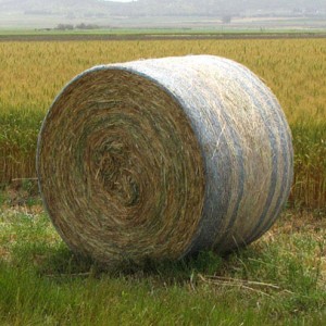 Bale net for pasture and straw collection Bundle