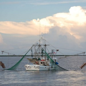 Rete da traino di alta qualità per la cattura di pesci