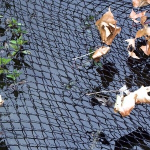 A rete di copertura di stagnu per prutezzione di a qualità di l'acqua riduce e foglie cadute