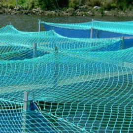 Rete gabbia galleggiante per l'acquacoltura per i molluschi, ecc