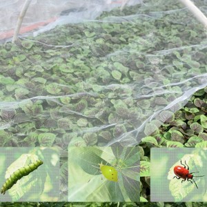 Rede anti-insetos de alta densidade para legumes e frutas