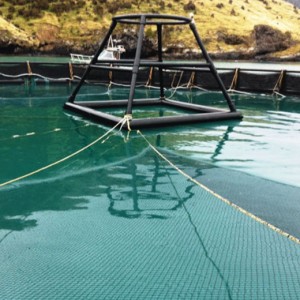 Rete gabbia galleggiante per l'acquacoltura per i molluschi, ecc