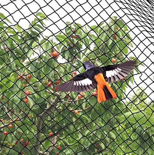 How to build a bird-proof net?