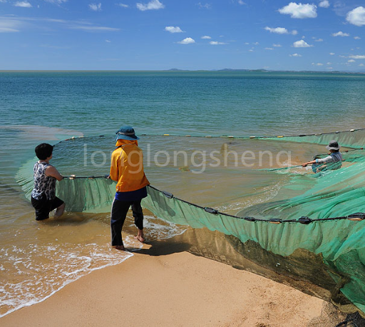 Little knowledge of fishing nets