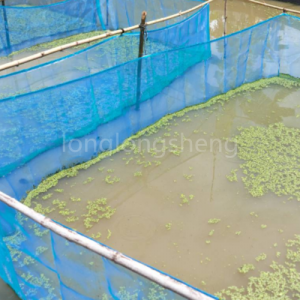 I cage d'aquaculture sò resistenti à a corrosione è faciuli di gestisce