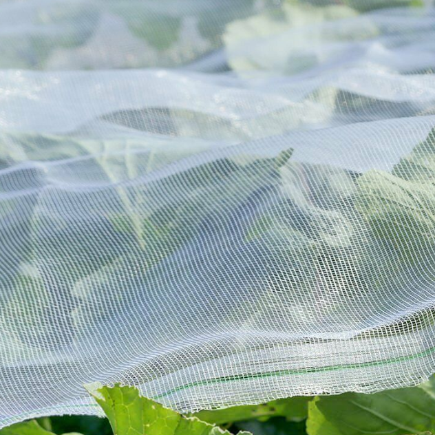 Mezőgazdasági üvegházhatású zöldség-gyümölcs, nagy sűrűségű rovarálló háló