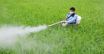 For Greenhouse Fogging Sprayer…. It’s a Good Idea or Not?