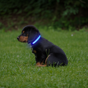 Wasserdichtes Hundehalsband der Klasse 7, einstellbare Größe, Nachtbeleuchtung, USB-Lademodus, wiederholte Verwendung, LED-Halsband
