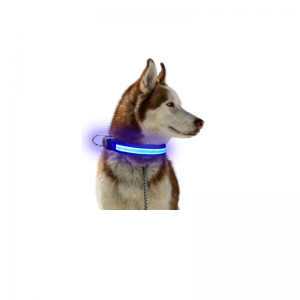 클래스 7 방수 애완 동물 목걸이 조정 가능한 크기 야간 조명 USB 충전 모드 반복 사용 LED 칼라