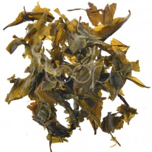 Polvere da canna di tè verde populari in u mondu sanu 9475