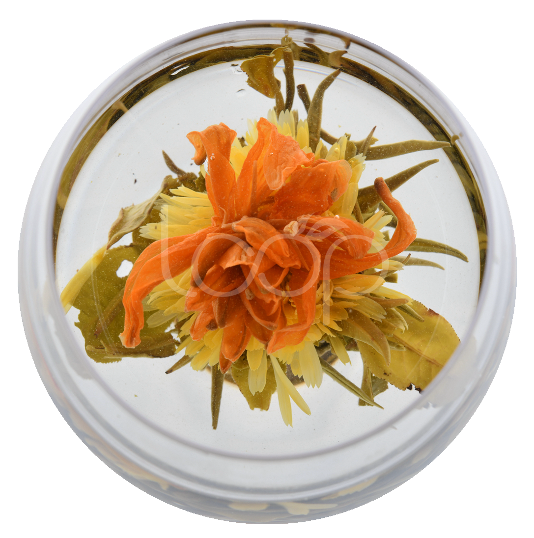 Blooming Tea Royal Lily