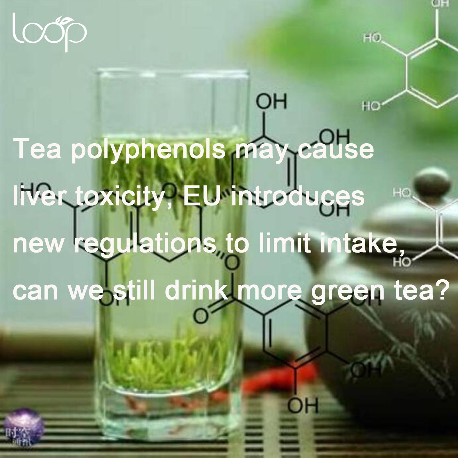 Tepolyfenoler kan forårsage levertoksicitet, EU indfører nye regler for at begrænse indtaget, kan vi stadig drikke mere grøn te?