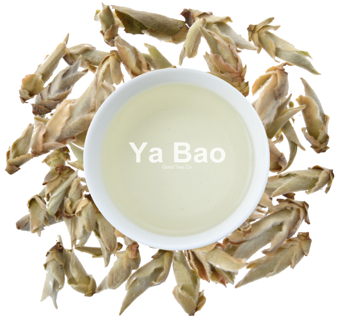 Yunnan Puerh Tea Buds Ya Bao خاص تصوير