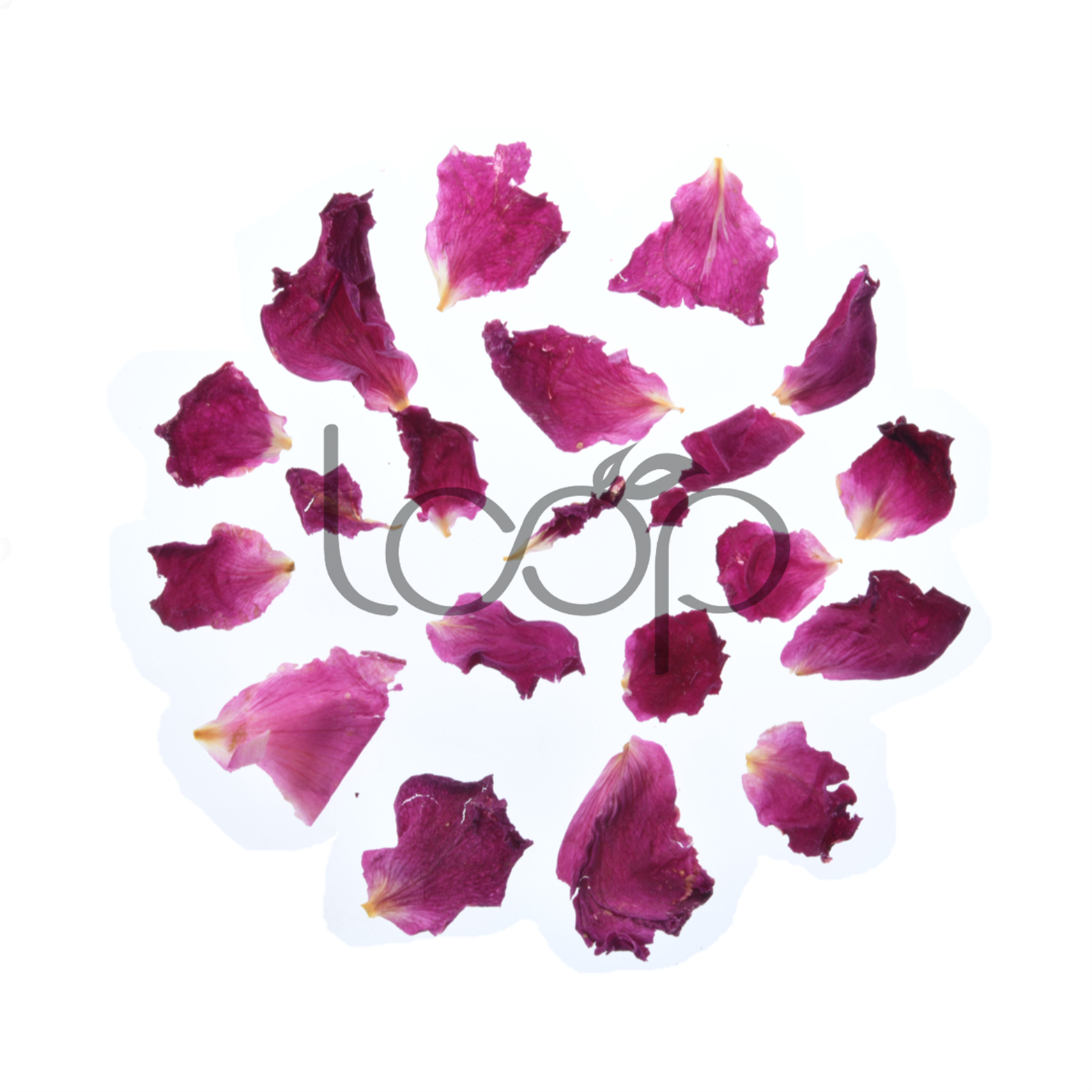Hierbas de flores de pétalos de rosa estándar de la UE