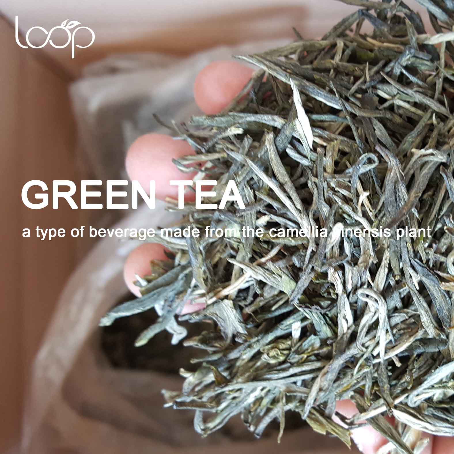 Zelený čaj Loopteas