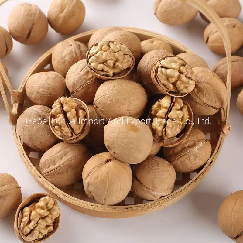 Walnut wa Kichina 33 aina ya walnuts ya makombora