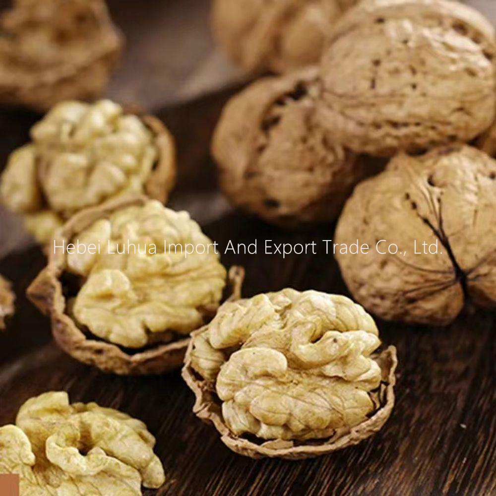 Hiina kreeka pähklid Yunnani kreeka pähklid koorega