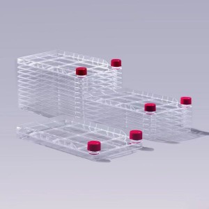 Multi-layers ဆဲလ်စက်ရုံ
