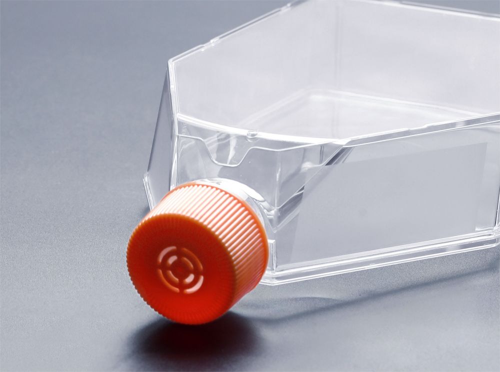A sejttapadás elvei sejttenyésztő palackokban