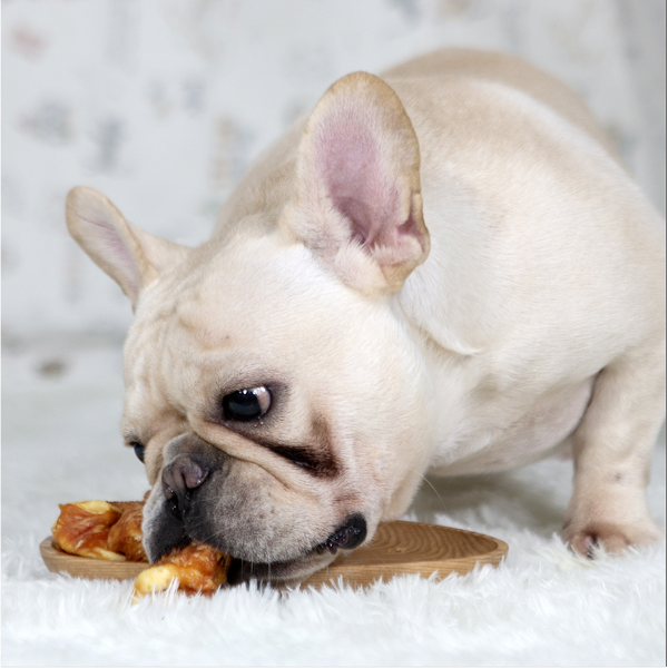 На что следует обратить внимание при кормлении собак лакомствами?