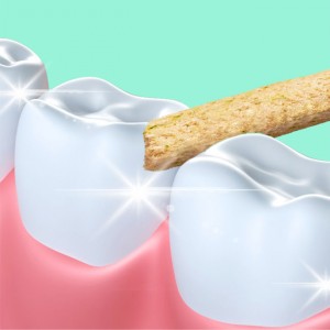 LSFD-48-FD Dental Stick (Cat)
