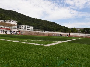 I-Labsport Eqinile Eqinisekisiwe engu-40/50/60mm I-Artificial Grass ye-Futsal Soccer Football, DS-5002 A+B