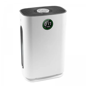 Air purifier with humidifier