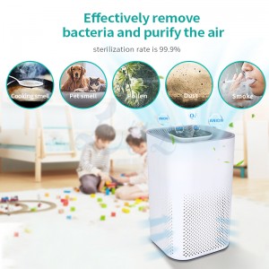Գործարան արտադրող Չինաստան 2021 Լավագույն վաճառվող շարժական HEPA ֆիլտրի իոնիզատոր Տնային օգտագործման Smart Domestic Air Cleaner Purifier