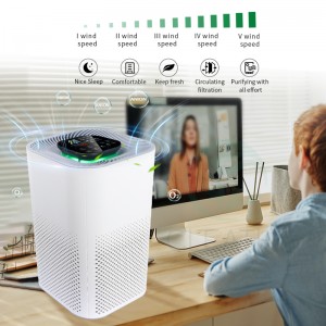 Low Noise Negative Ion Hepa Filter Home Air Purifier
