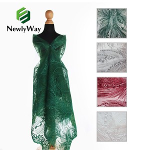 Tissu de dentelle suisse de broderie de maille de tulle de haute qualité pour des robes de dame