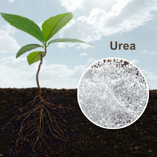 Beneficios del fertilizante de urea