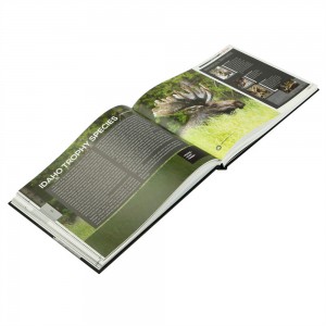 Premium hardcover picture book publishing magzine printing