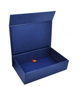 Impresión hecha a mano plegable promocional personalizada de la caja/caja del equipo del libro de la fruta del regalo de China