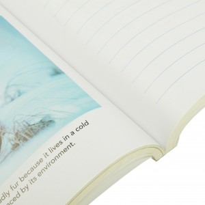 Hoogwaardige aangepaste boekafdrukken Kinderen Activiteitenwerkboek / Oefenboek / Tekstboekdrukservice