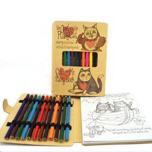 Stampa di libri da colorare/schizzi/disegni per adulti con copertina rigida personalizzata promozionale per bambini con matite colorate