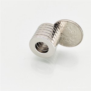 Shekara 30 Factory Wholesale Ring Neodymium Magnet don Mota