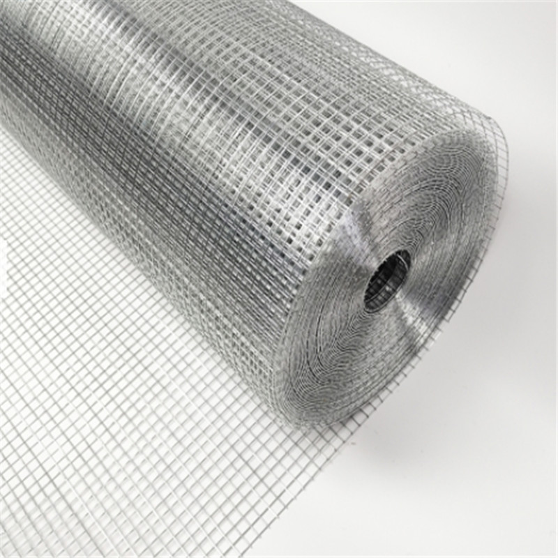 Electro galvanized Welded Wire Mesh Rolls Featured Image